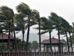 Angin Kencang dan Pohon Tumbang Landa Padang