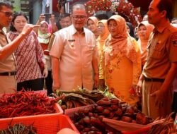 Ditempatkan di Dinas Pangan, Lokasi TTIC Dinilai Belum Ideal