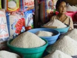 Harga Beras di Sawahlunto Bertahan Rp13.000 per Kilogram