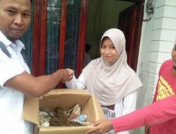 Warga Bayur Serahkan Kucing Hutan ke BKSDA