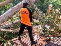 Pohon Tumbang Timpa Rumah Warga Pagaruyuang