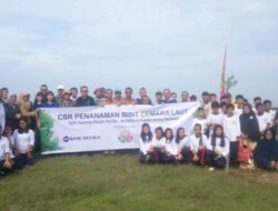 Peduli Lingkungan Bank Mestika Tanam Cemara Laut di Pasir Putih Indah