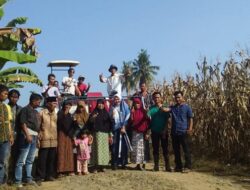 Merry Basril Bangkitkan Optimisme Petani Jagung Bawan