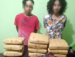 Bawa 10 Kg Ganja, Warga Payakumbuh Ditangkap
