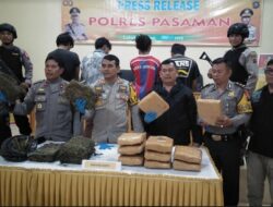 Bawa Ganja 5,5 Kg, Warga Panyabungan Ditangkap Polres Pasaman