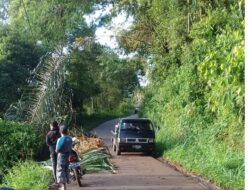 Akibat Longsor Jalan Lintas Lintau –Batusangkar via Puncak Pato Amblas