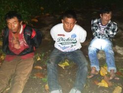 Hari Pertama Puasa, Polres Tanah Datar Tangkap Pengedar Ganja