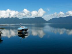 Ikan Bilih Terancam, Ayo Selamatkan Danau Singkarak!