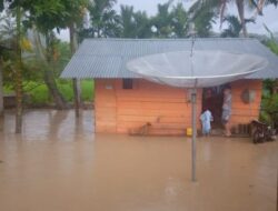 Akibat Hujan Deras, Dua Jorong Banjir di Solok Selatan