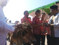 Agam Juara Umum di Livestock Expo 2019 Sumbar