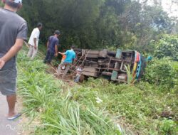 Gagal Melewati Tanjakan, Bus Sipirok Nauli Rebah Kuda di Pasaman