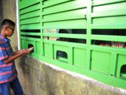 Tiket Pertandingan Semen Padang FC Bisa Beli Online