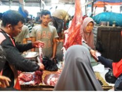 71 Sapi Disembelih di Tiku, Harga Relatif Normal