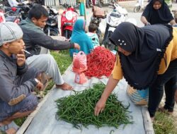 Cabai Merah di Muaro Labuah Naik