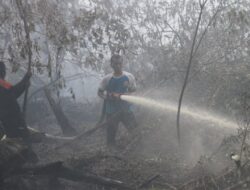 Lima Pembakar Hutan Ditangkap