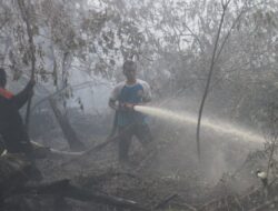 Bakar Hutan, Diancam Hukuman 10 Tahun Penjara 