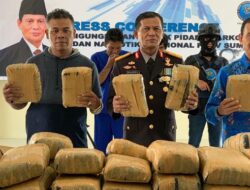 Hadiah Hari Kemerdekaan, BNNP Sumbar Amankan 200 Kg Ganja