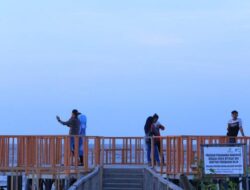 Ekowisata Mangrove Tingkatkan Perekonomian Masyarakat Pasir Putih