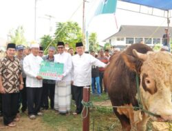 Tahun Depan Masjid Raya Punya Tempat Penyembelihan Hewan Permanen