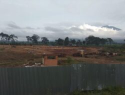 Ini Jawaban Pemkab Solsel Terkait Somasi dari PT. Mitra Kerinci