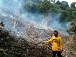1,5 Hektare Lahan Kebun di Palembayan Terbakar