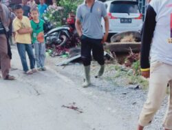 Ertiga dan Honda Vario Laga Kambing di Solok, Satu Balita Tewas