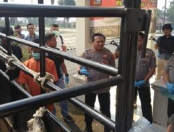 Polisi dan Tim Gabungan Ringkus Maling Ternak, Diduga Jaringan Antar Provinsi
