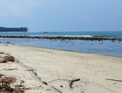 Pecahan Terumbu Karang Rusak Pantai Tiku