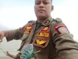 Hindari Berenang di Pantai Tiku, Ada Ubur-Ubur