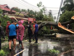 Angin Kencang Melanda Kota Payakumbuh