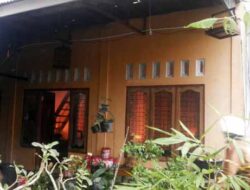 Sijago Merah Mengamuk di Korong Bukit Gonggang,  Begini Kronologinya