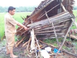 Disambar Petir, Petani di Bawan Tewas