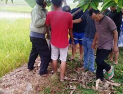 Warga Tanjung Bingkung Tewas Tergantung di Pohon Alpukat