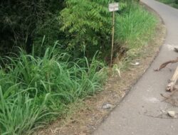 Ruas Jalan Kabupaten di Tabek Panjang Baso Teracam Putus