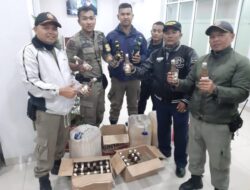 Pol PP Bukittinggi Gerebek Dua Warung Tuak di Gulidiak Mandiangin Koto Selayan