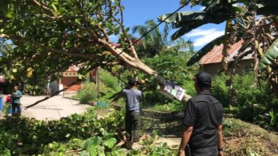 Padang Diserbu Angin Kencang, Ini Lokasi Pohon Tumbang