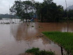 217 Rumah di Limapuluh Kota Kebanjiran, 30 KK Mengungsi
