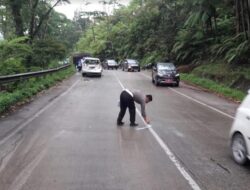 Bus Rombongan SMAN 6 Padang Kecelakaan di Ladang Padi