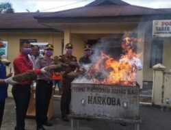 Polres Pasaman Barat Musnahkan 17 Kg Ganja