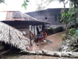 Rumah Warga Palembayan Ditimpa Pohon Tumbang