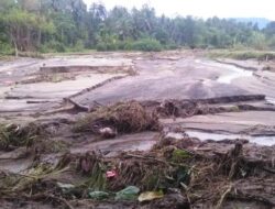 Akibat Banjir, Puluhan Hentar Sawah di Pariaman Tertimbun