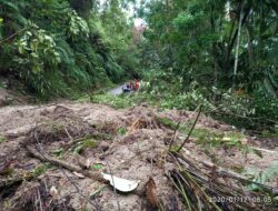 Hujan Deras, Padang Pariaman Longsor di Sejumlah Titik