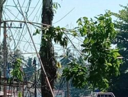 Bersama PLN, Babinsa Bersihkan Jaringan Listrik