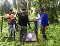 BKSDA Sumbar Pasang Perangkap Beruang Madu