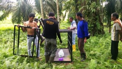BKSDA Sumbar Pasang Perangkap Beruang Madu