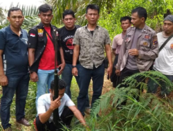 Diduga Salah Tembak Saat Berburu Babi, Pelaku Diamankan Polisi