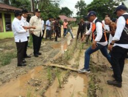 Jalan Provinsi Ditamani Padi, Ini Reaksi Wagub Sumbar