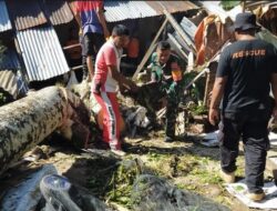 Waspada, Padang Pariaman Dilanda Angin Kencang