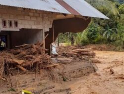 Banjir Bandang di Pasaman, Satu Meninggal