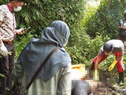 Warga Koto Hilalang Gempar, Mayat Ditemukan di Semak
